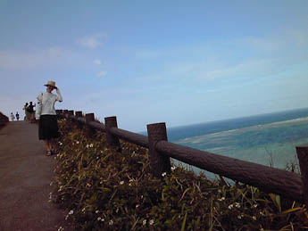 Mommy at an Angle -- Ishigaki, Okinawa, Japan -- Copyright 2009 Anthony Friedl