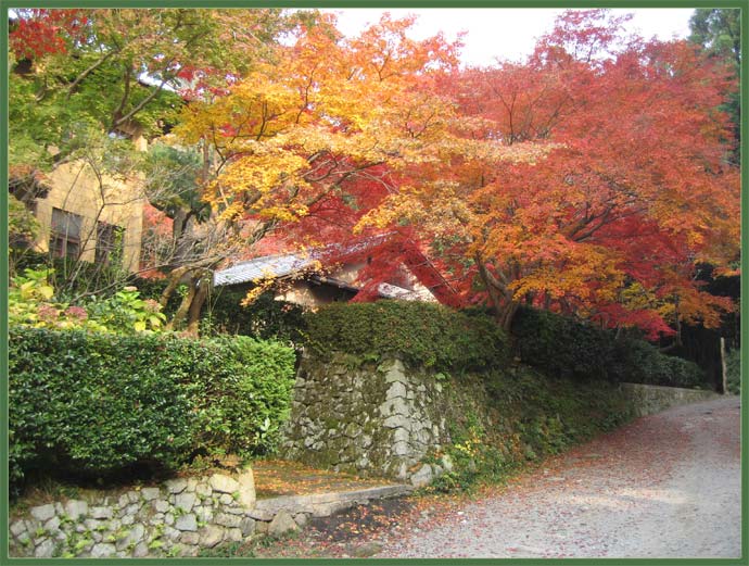 Japanese Garden in Fall Colors