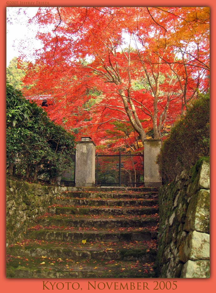 Kyoto Foliage, 2005