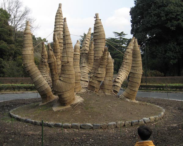 Not a &#8220;Cat in the Hat&#8221; Display -- Kyoto, Japan -- Copyright 2007 Jeffrey Eric Francis Friedl