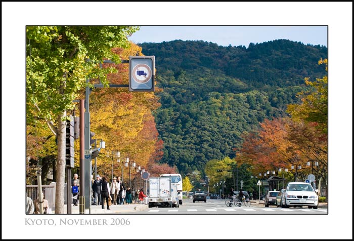 The leaves just starting to turn fall colors in Okazaki, Kyoto, Japan, November 2006