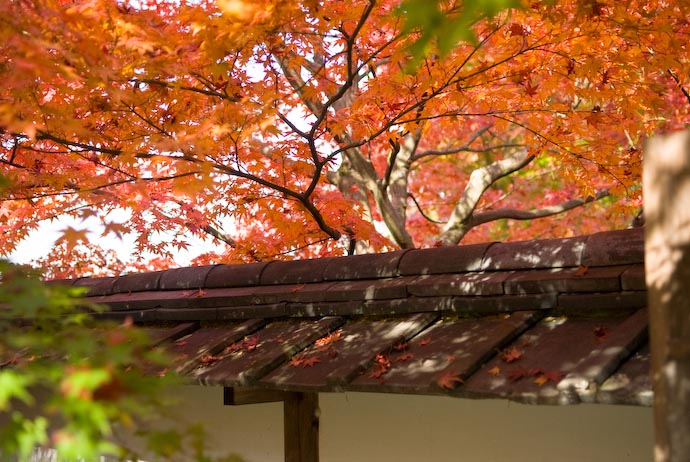 Wall roof at the Konpukuji Temple -- Kyoto, Japan -- Copyright 2006 Jeffrey Eric Francis Friedl, http://regex.info/blog/