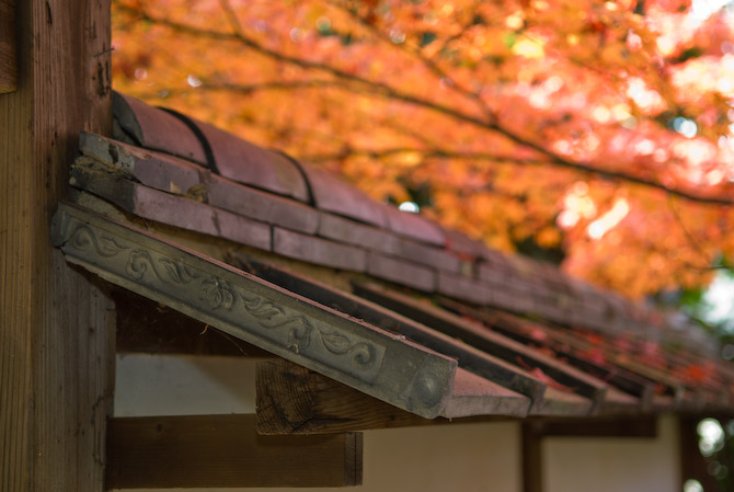 Nikon D200 + Nikkor 17 -55 f/2.8 @ 44mm &mdash; 1 / 60 sec, f/2.8, ISO 250 &mdash; map & image data Walltop Tiles at the Konpukuji Temple, Kyoto Japan -- Copyright 2006 Jeffrey Eric Francis Friedl, http://regex.info/blog/