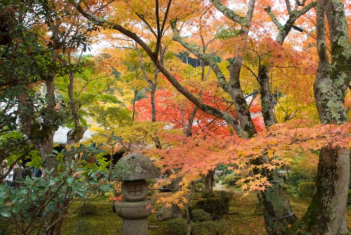 Enkouji Garden -- Kyoto, Japan -- Copyright 2006 Jeffrey Eric Francis Friedl, http://regex.info/blog/