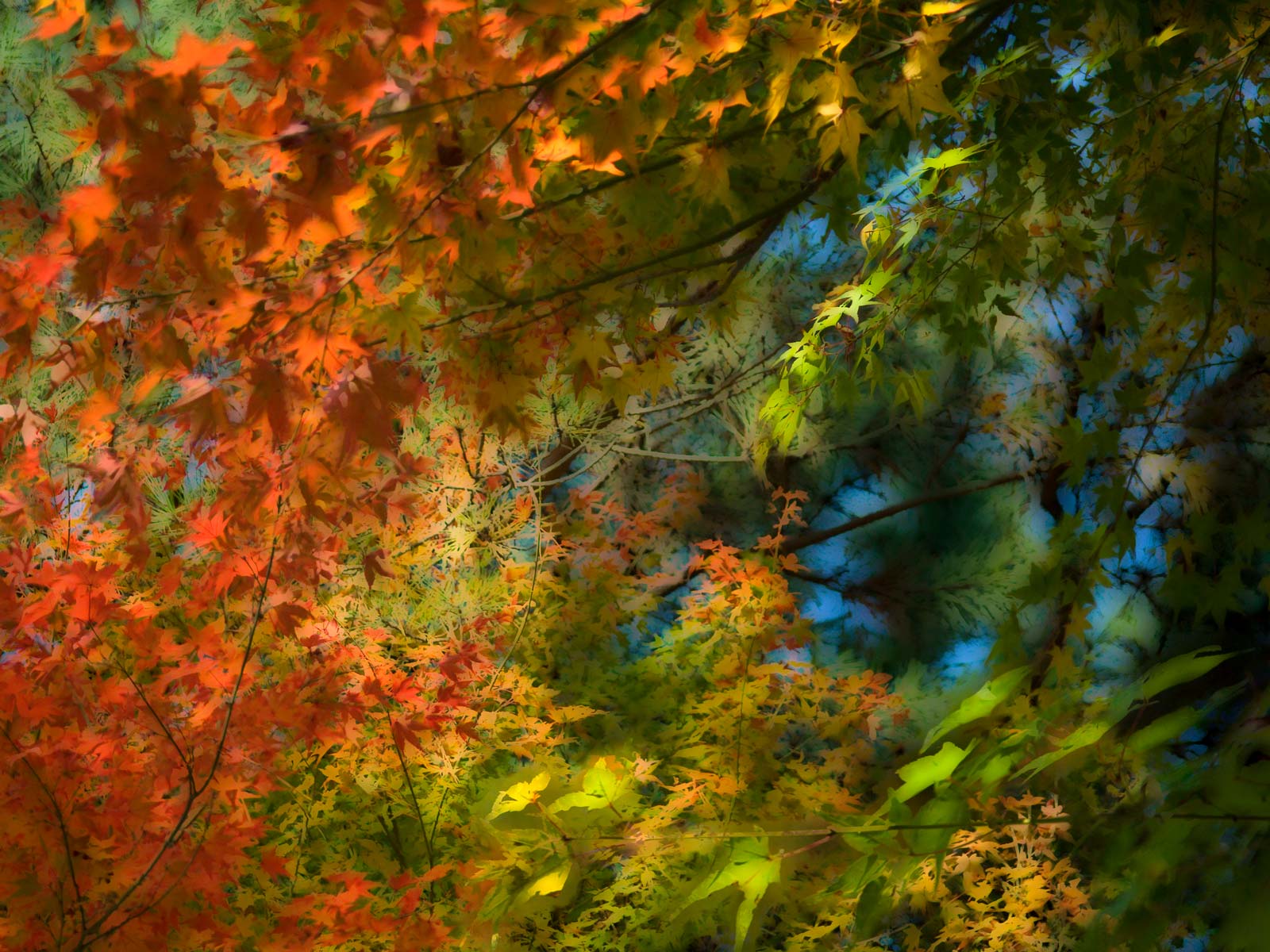 Jeffrey Friedl's Blog » The Color of Kyoto — Desktop Background