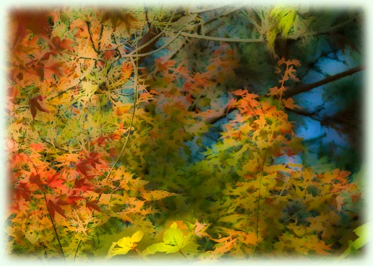 Crop from a Kyoto Japan fall-foliage photo processed by Jeffrey Friedl