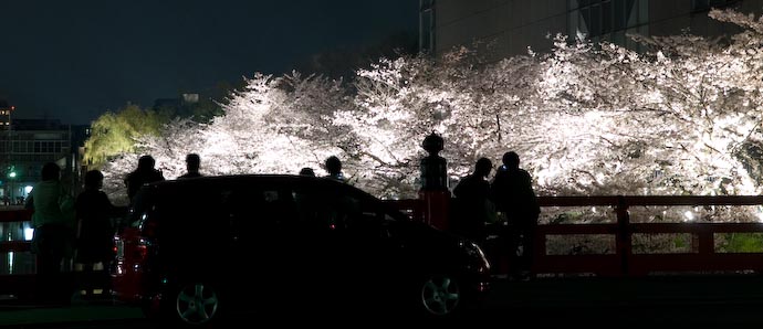 Cherry-Blossom Fireworks -- Kyoto, Japan -- Copyright 2007 Jeffrey Eric Francis Friedl, http://regex.info/blog/