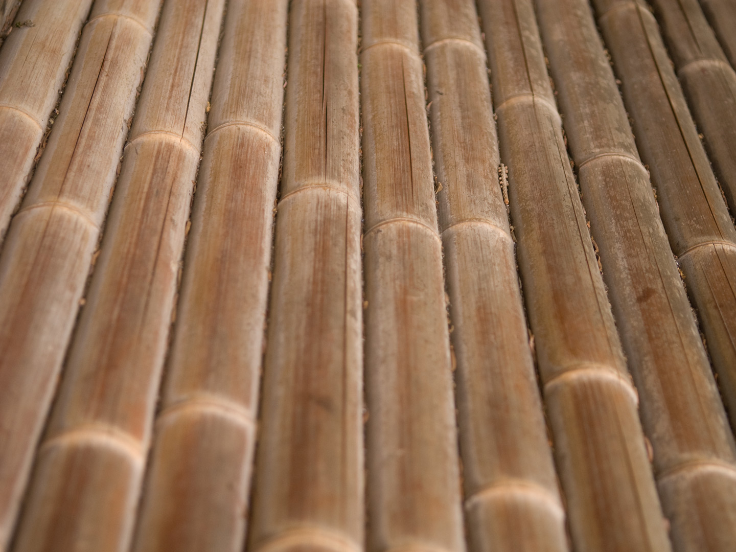 Jeffrey Friedl S Blog Desktop Backgrounds Bamboo Stones And Coral