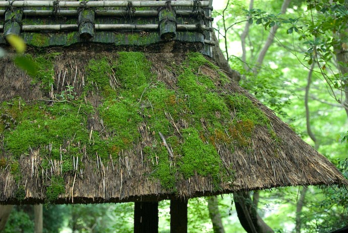 Gate Roof -- Kyoto, Japan -- Copyright 2007 Jeffrey Eric Francis Friedl, http://regex.info/blog/