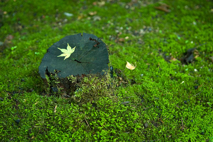 Closing My Eyes and trying to imagine a less stressful place -- Kyoto, Japan -- Copyright 2007 Jeffrey Eric Francis Friedl, http://regex.info/blog/