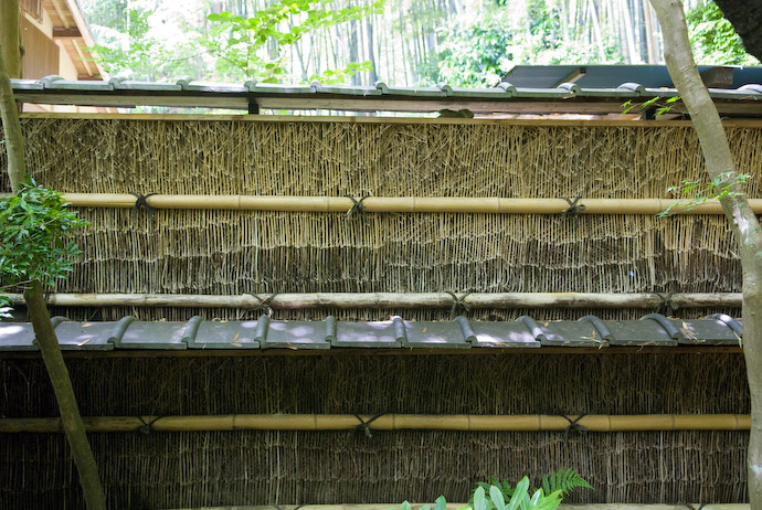 Tall Wall at the Giouji Temple -- Kyoto, Japan -- Copyright 2007 Jeffrey Eric Francis Friedl, http://regex.info/blog/