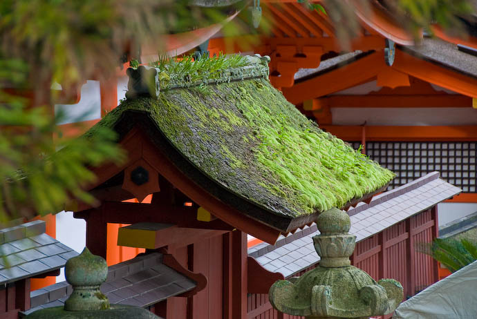 Roof In Need of a Trim At the Itsukushima Shrine, Miyajima, Japan -- Miyajima, Hiroshima, Japan -- Copyright 2007 Jeffrey Eric Francis Friedl