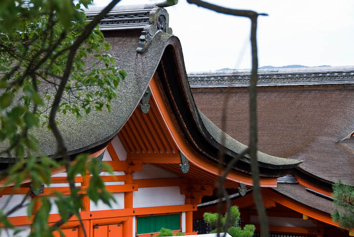 Miyajima, Hiroshima, Japan -- Copyright 2007 Jeffrey Eric Francis Friedl