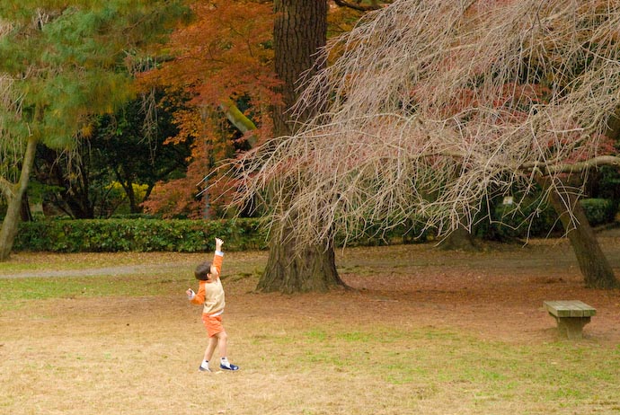 Anthony vs. Cherry Tree -- Kyoto, Japan -- Copyright 2007 Jeffrey Eric Francis Friedl, http://regex.info/blog/
