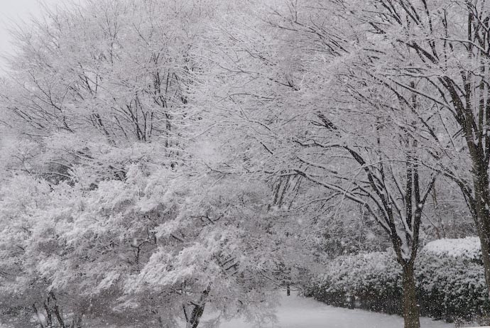 Winter Wonderland -- Ootsu, Shiga, Japan -- Copyright 2008 Jeffrey Eric Francis Friedl, http://regex.info/blog/