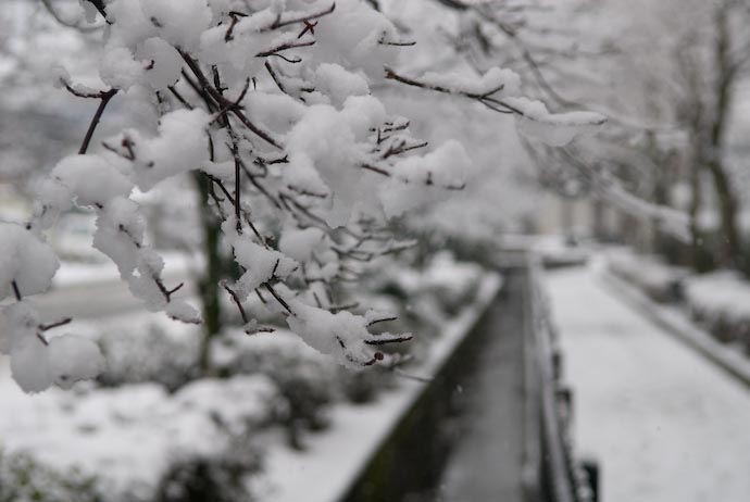 A Touch of Snow -- Ootsu, Shiga, Japan -- Copyright 2008 Jeffrey Eric Francis Friedl, http://regex.info/blog/