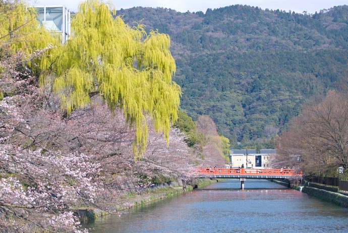Sorta' Pretty -- Kyoto, Japan -- Copyright 2008 Jeffrey Eric Francis Friedl, http://regex.info/blog/
