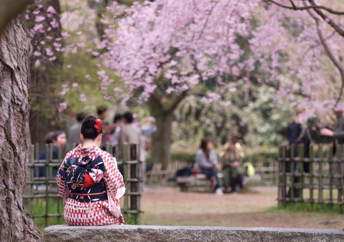 Hanami at The Old Imperial Palace Kyoto, Japan -- Copyright 2008 Jeffrey Eric Francis Friedl, http://regex.info/blog/