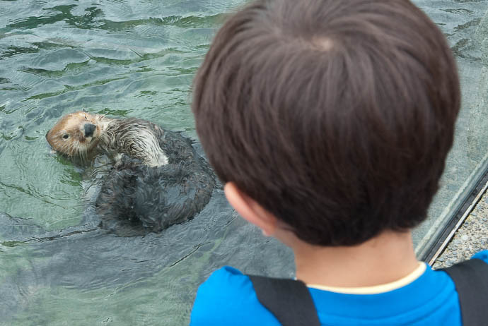 Hello! Anthony and a Sea Otter -- Vancouver, British Columbia, Canada -- Copyright 2008 Jeffrey Eric Francis Friedl