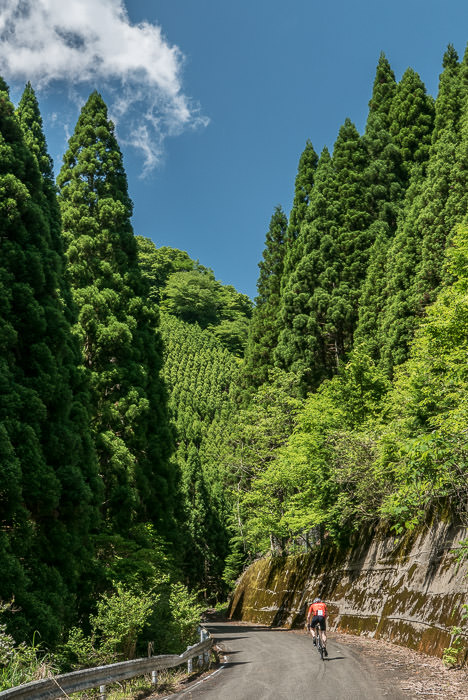Steep Climb Last June きつい坂登り -- Kyoto, Japan -- Copyright 2015 Jeffrey Friedl, http://regex.info/blog/