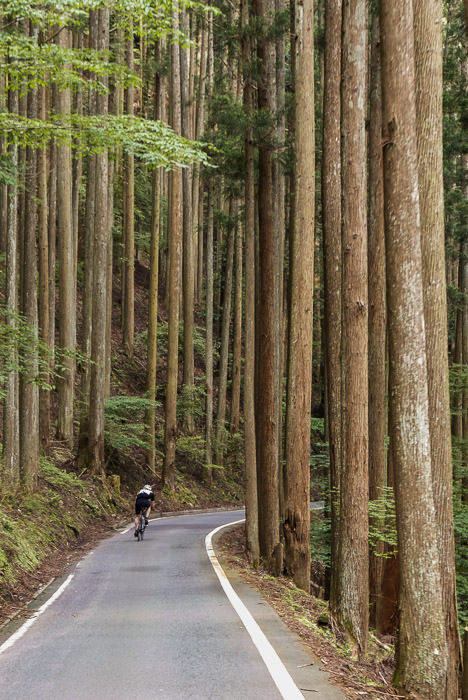 9:01 AM (+2h 38m) - 36 km (22 miles) taken while cycling at 25 kph (16 mph) -- Kyoto, Japan -- Copyright 2015 Jeffrey Friedl, http://regex.info/blog/