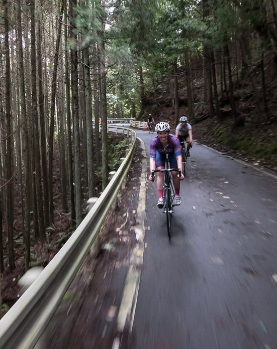 taken while cycling at 16 kph (10 mph) -- Kyoto, Japan -- Copyright 2015 Jeffrey Friedl, http://regex.info/blog/