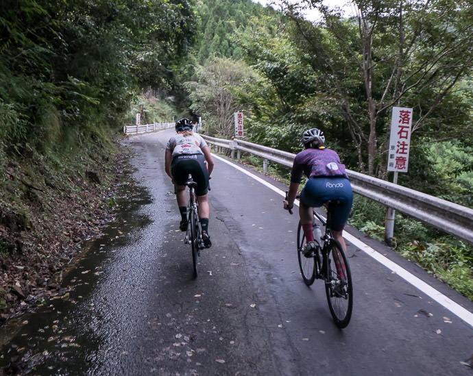Off Like a Shot taken while cycling at 40 kph (25 mph) -- Kyoto, Japan -- Copyright 2015 Jeffrey Friedl, http://regex.info/blog/