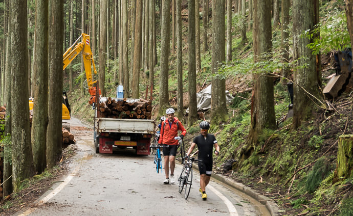 Getting Out of the Loggers' Way -- Kyoto, Japan -- Copyright 2015 Jeffrey Friedl, http://regex.info/blog/