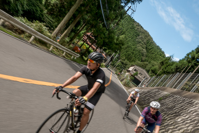 I Love Going Downhill (so do they, but they kindly stayed back for me to take a few pics, which unfortunately didn't come out) taken while cycling at 35 kph (21 mph) -- Kyoto, Japan -- Copyright 2015 Jeffrey Friedl, http://regex.info/blog/