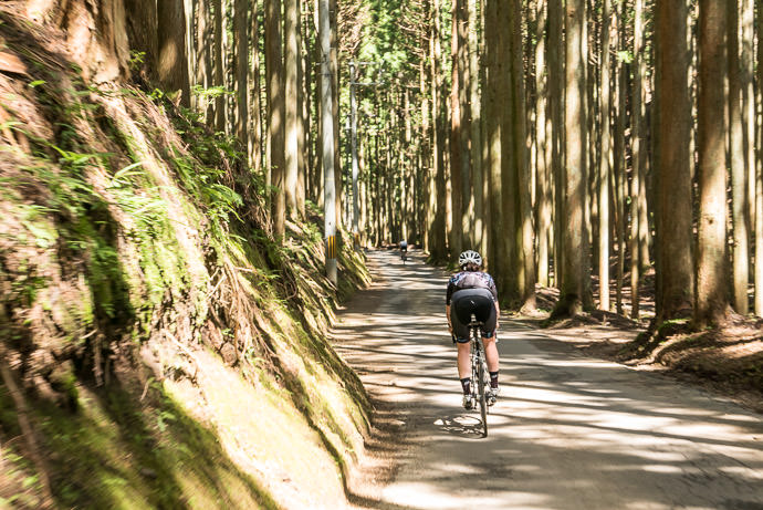 taken while cycling at 42 kph (26 mph) -- Kyoto, Japan -- Copyright 2015 Jeffrey Friedl, http://regex.info/blog/