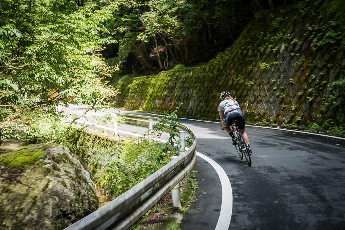 taken while cycling at 36 kph (23 mph) -- Kyoto, Japan -- Copyright 2015 Jeffrey Friedl, http://regex.info/blog/