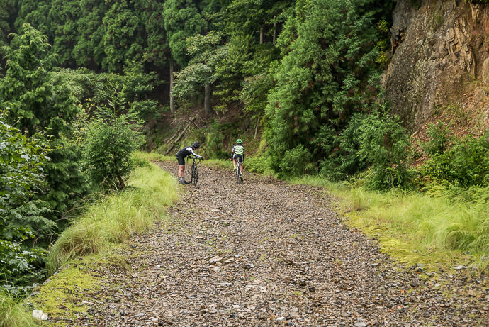 Not For Road Bikes -- Kyoto, Japan -- Copyright 2015 Jeffrey Friedl, http://regex.info/blog/