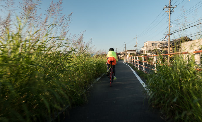 Encroaching Grass taken while moving at 18 kph (11 mph) -- Kyoto, Japan -- Copyright 2015 Jeffrey Friedl, http://regex.info/blog/