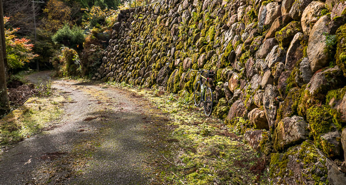Unscheduled Stop my bike blends in so well it's almost ninja-like invisible -- Kyoto, Japan -- Copyright 2015 Jeffrey Friedl, http://regex.info/blog/ -- This photo is licensed to the public under the Creative Commons Attribution-NonCommercial 4.0 International License http://creativecommons.org/licenses/by-nc/4.0/ (non-commercial use is freely allowed if proper attribution is given, including a link back to this page on http://regex.info/ when used online)