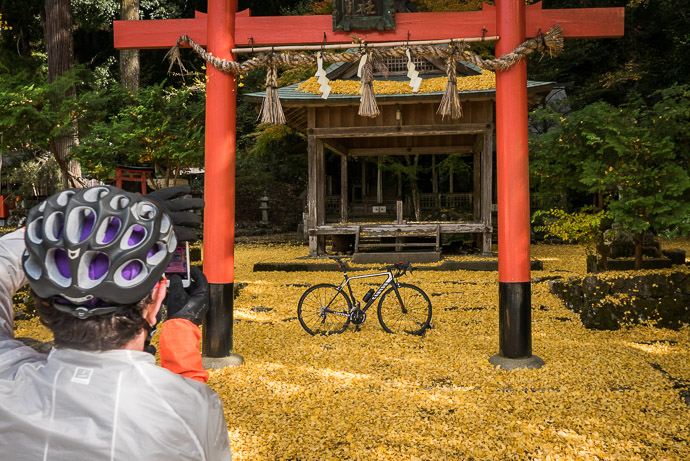 Andy Photographs his ROTOR Chainrings along with the rest of his fine steed -- Iwato Ochiba Shrine (岩戸落葉神社) -- Kyoto, Japan -- Copyright 2015 Jeffrey Friedl, http://regex.info/blog/