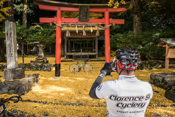 Quintessential Shot at this shrine during the foliage season -- Iwato Ochiba Shrine (岩戸落葉神社) -- Kyoto, Japan -- Copyright 2015 Jeffrey Friedl, http://regex.info/blog/