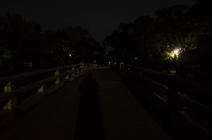 Kyoto Imperial Palace Park (京都御所公園) -- Kyoto, Japan -- Copyright 2015 Jeffrey Friedl, http://regex.info/blog/ -- This photo is licensed to the public under the Creative Commons Attribution-NonCommercial 4.0 International License http://creativecommons.org/licenses/by-nc/4.0/ (non-commercial use is freely allowed if proper attribution is given, including a link back to this page on http://regex.info/ when used online)