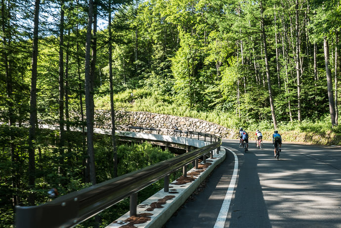 Entering the Woods 6:56am - taken while cycling at 16 kph (10 mph) -- Mt. Norikura (乗鞍岳) -- Matsumoto, Nagano, Japan -- Copyright 2016 Jeffrey Friedl, http://regex.info/blog/
