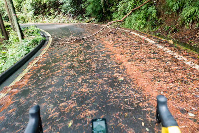 Effects of the Storm apparently I'm the first to use this road since last night -- Tsuzuki-gun -- Tsuzuki-gun, Kyoto, Japan -- Copyright 2016 Jeffrey Friedl, http://regex.info/blog/