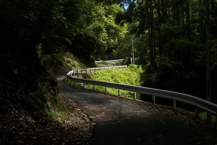 Long and Winding Road π km @ 8% -- Uji, Kyoto, Japan -- Copyright 2016 Jeffrey Friedl, http://regex.info/blog/