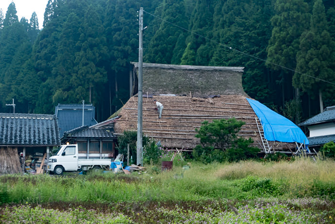 Thatched-Roof Repair the same house seen here and here -- Kyoto, Japan -- Copyright 2016 Jeffrey Friedl, http://regex.info/blog/ -- This photo is licensed to the public under the Creative Commons Attribution-NonCommercial 4.0 International License http://creativecommons.org/licenses/by-nc/4.0/ (non-commercial use is freely allowed if proper attribution is given, including a link back to this page on http://regex.info/ when used online)