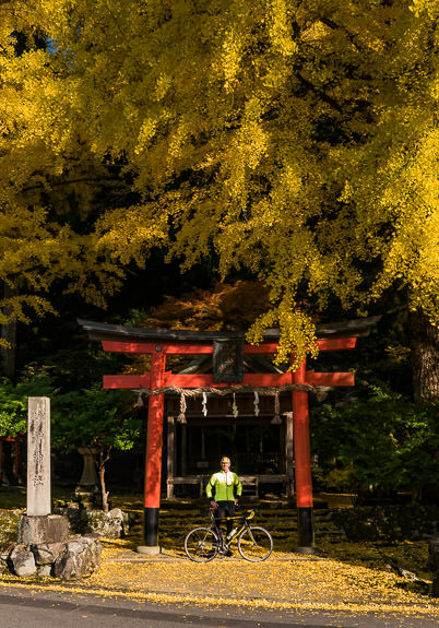 Ochiba Shrine Nov 18 not peak, but getting closer -- Iwato Ochiba Shrine (岩戸落葉神社) -- Kyoto, Japan -- Copyright 2016 Jeffrey Friedl, http://regex.info/blog/