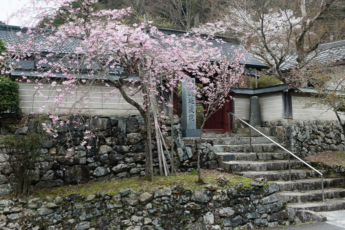 Random Road-side Temple Jizoin Temple (地蔵院) -- Jizoin Temple (地蔵院) -- Kyoto, Japan -- Copyright 2017 Jeffrey Friedl, http://regex.info/blog/