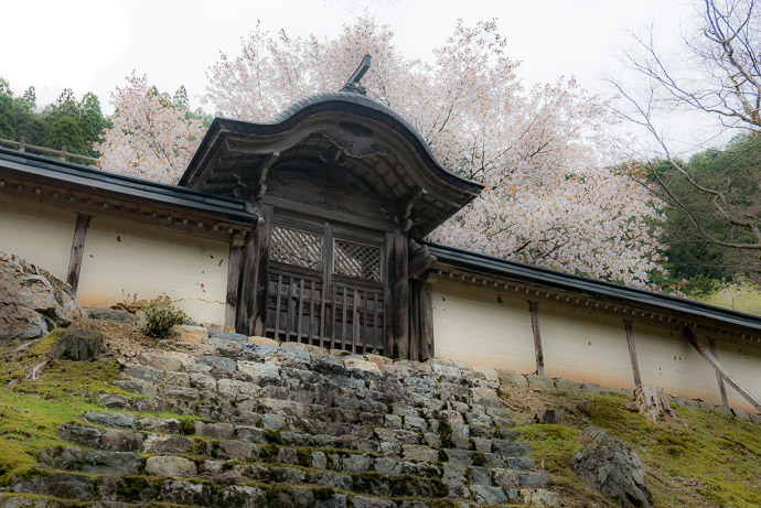 Joshokoji Temple (常照皇寺) -- Kyoto, Japan -- Copyright 2017 Jeffrey Friedl, http://regex.info/blog/