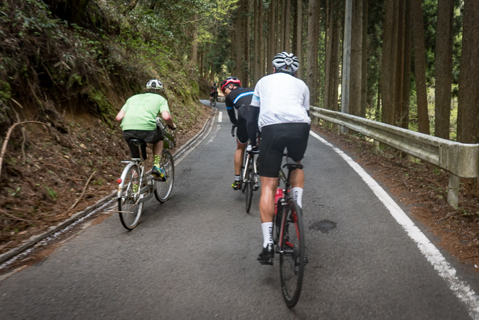 &#8220; Happy Birthday &#8221; two cyclists wish Nigel a Happy Birthday on the way by -- Kyoto, Japan -- Copyright 2017 Jeffrey Friedl, http://regex.info/blog/