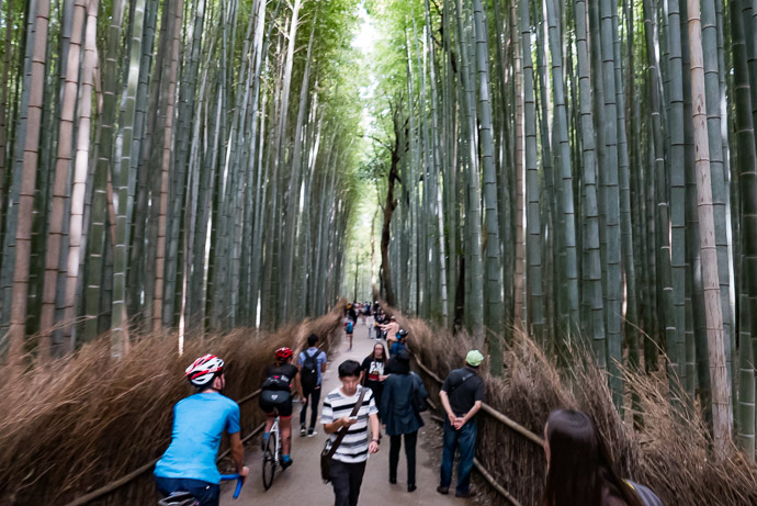 Crowded Road Arashiyama Bamboo Forest (嵐山竹 やぶ) (and yes, it's a road open to vehicular traffic) -- Arashiyama Bamboo Forest (嵐山竹やぶ) -- Kyoto, Japan -- Copyright 2017 Jeffrey Friedl, http://regex.info/blog/