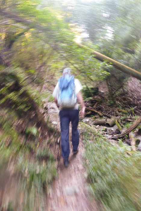 Heading Up Mt. Hiei with Damien Douxchamps, but without a good camera -- Copyright 2014 Jeffrey Friedl, http://regex.info/blog/