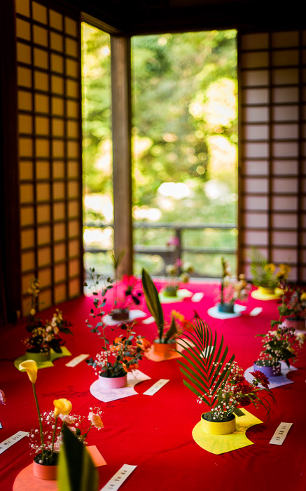 desktop background image of children  --  Lots of Kids' Arrangements  --  Shoren'in Temple (青蓮院)  --  Kyoto, Japan  --  Copyright 2012 Jeffrey Friedl, http://regex.info/blog/