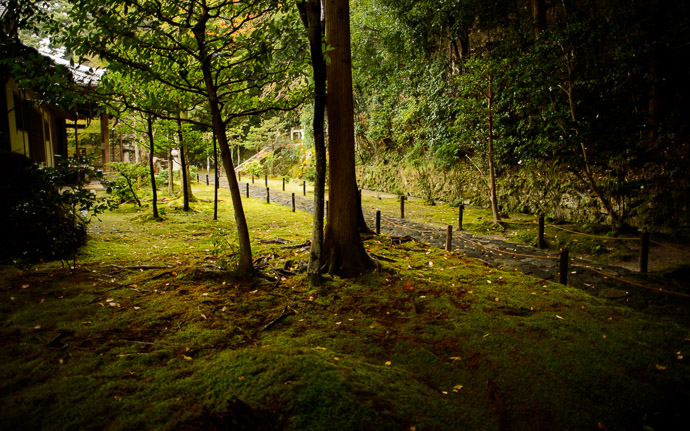 desktop background image of mossy garden area at the Honen -- Mossy Lawn -- Honen'in Temple (法然院) -- Kyoto, Japan -- Copyright 2012 Jeffrey Friedl, http://regex.info/blog/ -- This photo is licensed to the public under the Creative Commons Attribution-NonCommercial 3.0 Unported License http://creativecommons.org/licenses/by-nc/3.0/ (non-commercial use is freely allowed if proper attribution is given, including a link back to this page on http://regex.info/ when used online)