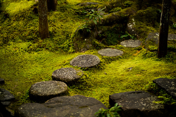 Lake of Moss -- Honen'in Temple (法然院) -- Kyoto, Japan -- Copyright 2012 Jeffrey Friedl, http://regex.info/blog/ -- This photo is licensed to the public under the Creative Commons Attribution-NonCommercial 3.0 Unported License http://creativecommons.org/licenses/by-nc/3.0/ (non-commercial use is freely allowed if proper attribution is given, including a link back to this page on http://regex.info/ when used online)